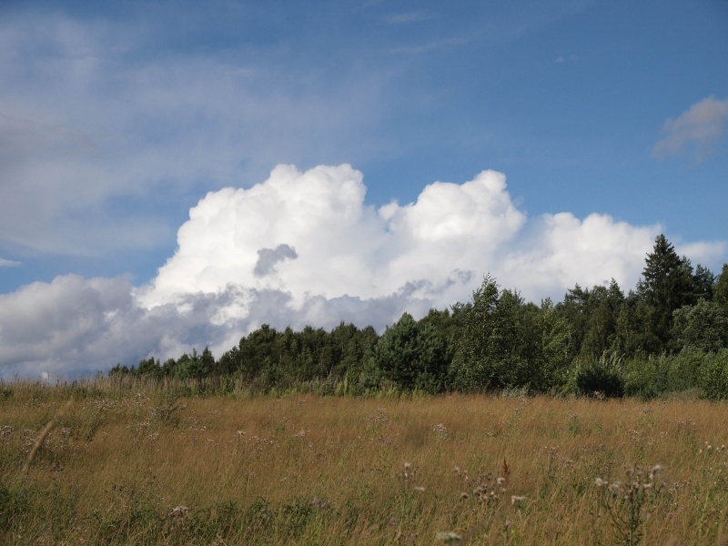 Vaizdas:DEBESŲ KALNAI 818.jpg