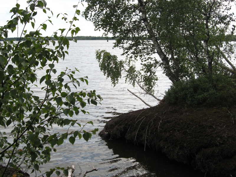 Vaizdas:Img 0133 641.jpg