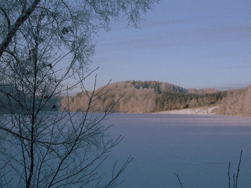 Vaizdas:Tauragnų žiema 622.jpg