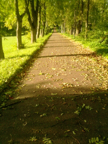 Vaizdas:Plinkšių parkas 541.jpg