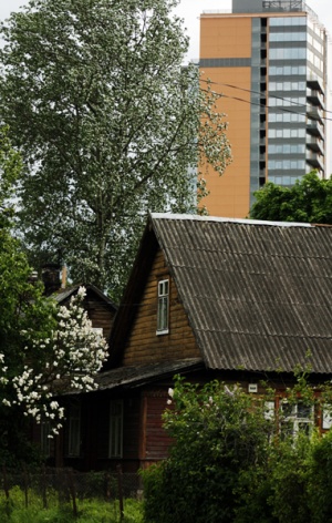 K. Lapinaitės nuotr.