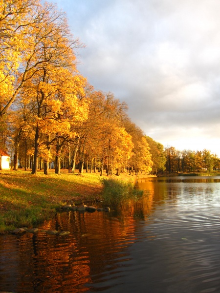 Vaizdas:Rudens stebuklas 654.jpg