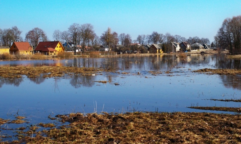 Vaizdas:Žagarė 2010 m. pavasarį 102.jpg