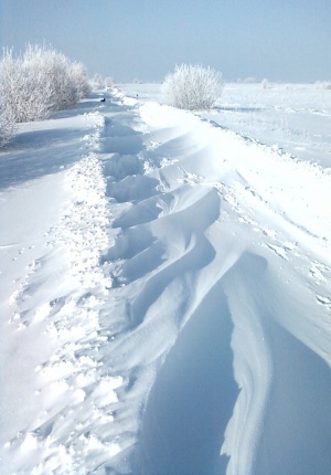 Kelelis tolimas. Medvišių kaimas, Prienų rajonas