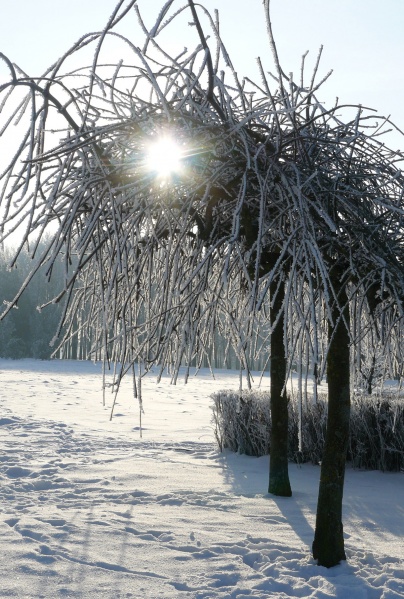 Vaizdas:Kalniečių parkas 200.jpg
