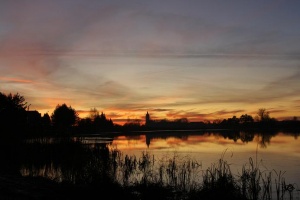 vakarėja