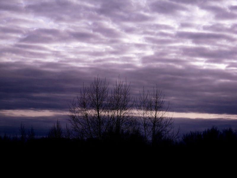 Vaizdas:Violetinis vakaras 782.jpg