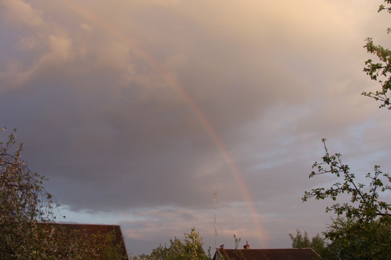Vaizdas:Žvelgiu į dangų 730.jpg