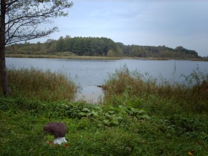 Šventosios upė. Riškonių km.