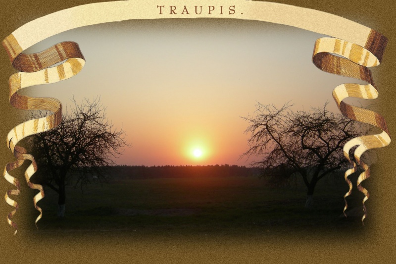 Vaizdas:Traupis 01 504.jpg