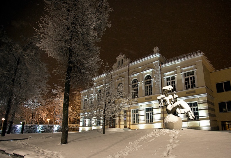 Vaizdas:Šiaulių Didždvario gimnazija 794.jpg