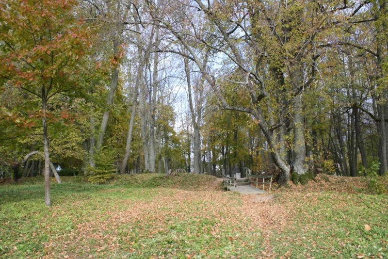 Vaizdas:15 376.jpg