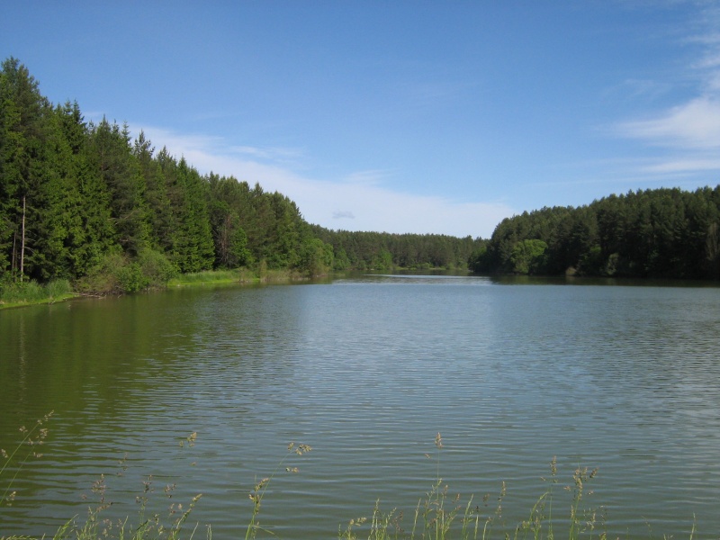 Vaizdas:D-VUDESKTOPIMG 3495.jpg