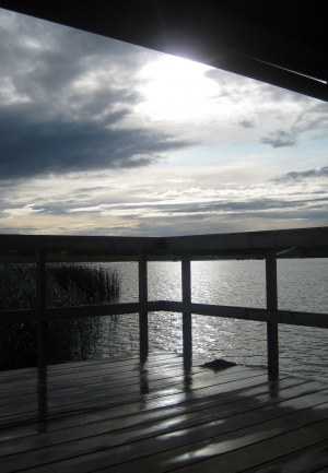 Gaiva