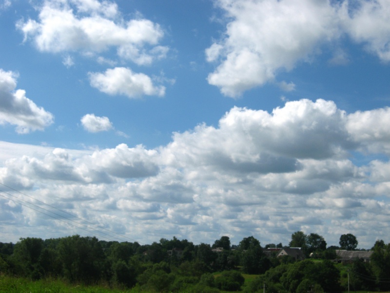 Vaizdas:Mūsų vasara 650.jpg