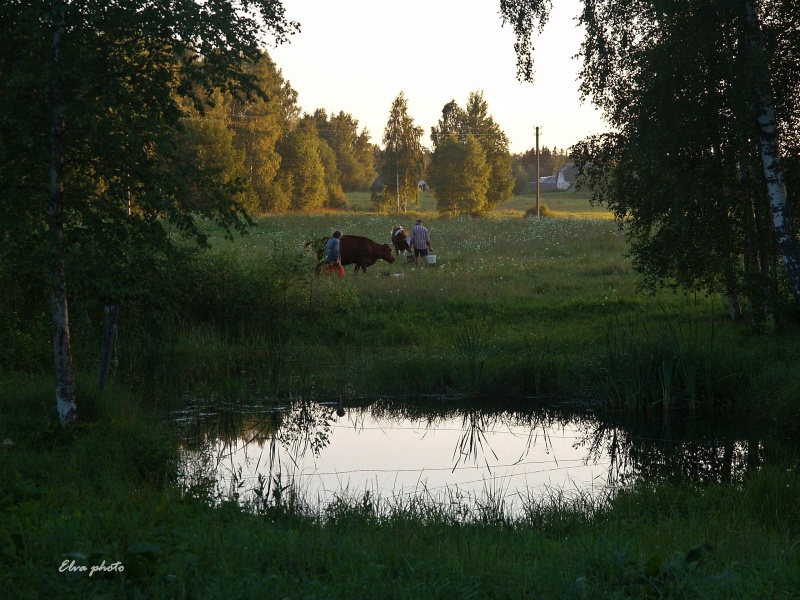 Vaizdas:Vakarinė ruoša 243.jpg