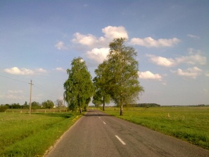 kelias