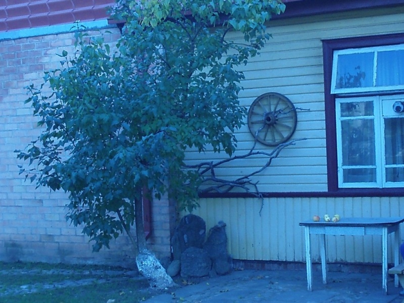 Vaizdas:Pa100139 831.jpg