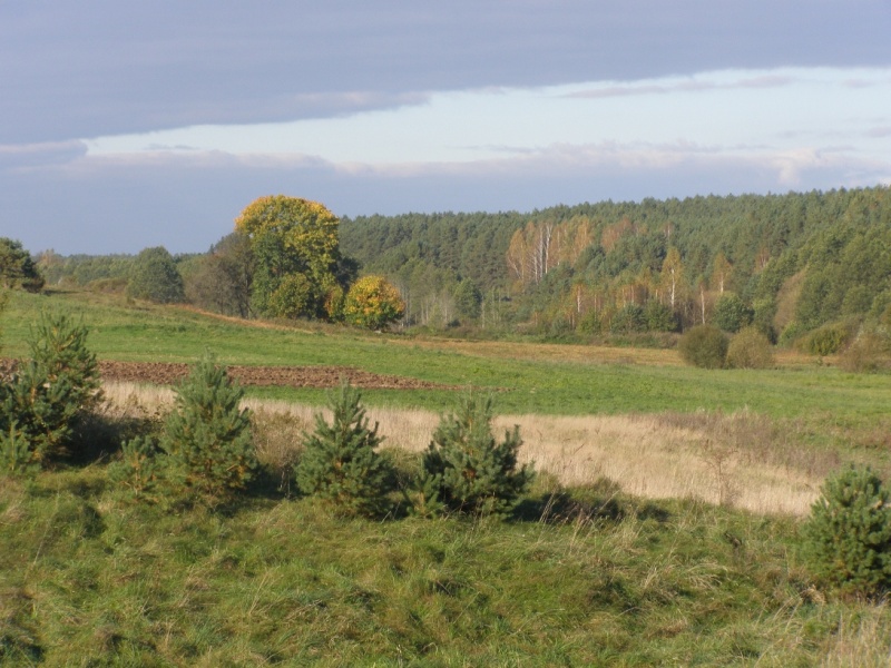 Vaizdas:Rudens preliudas 825.jpg