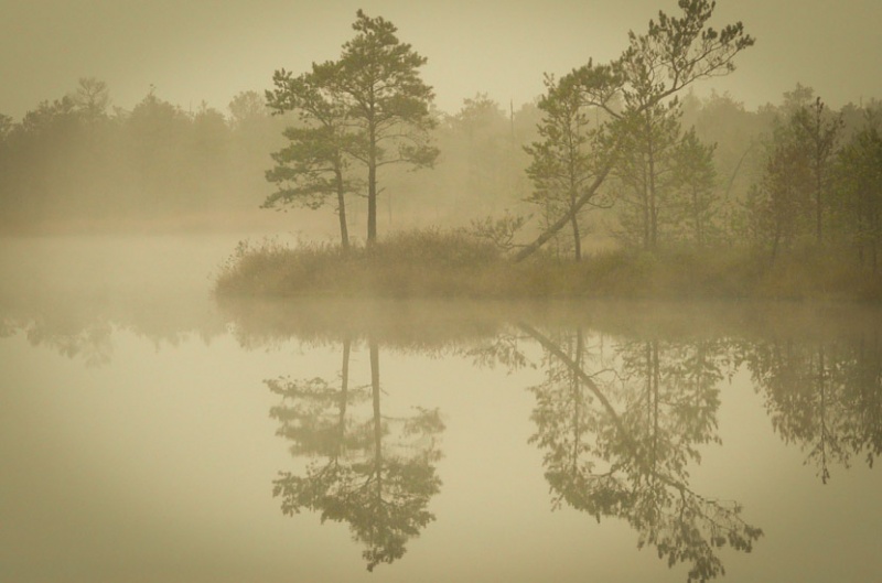Vaizdas:Čepkeliai ankstų rytą 989.jpg