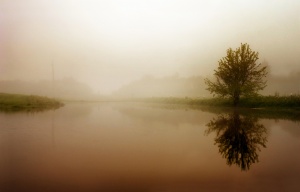 Fotografuota Anykščių rajone,netoli Elmininkų gyv.