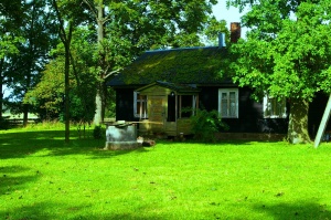 Baltrakis,Vitkauskynė,svirtis