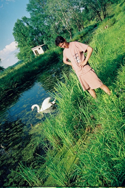 Vaizdas:Gulbė - geriausias žmogaus draugas 700.jpg