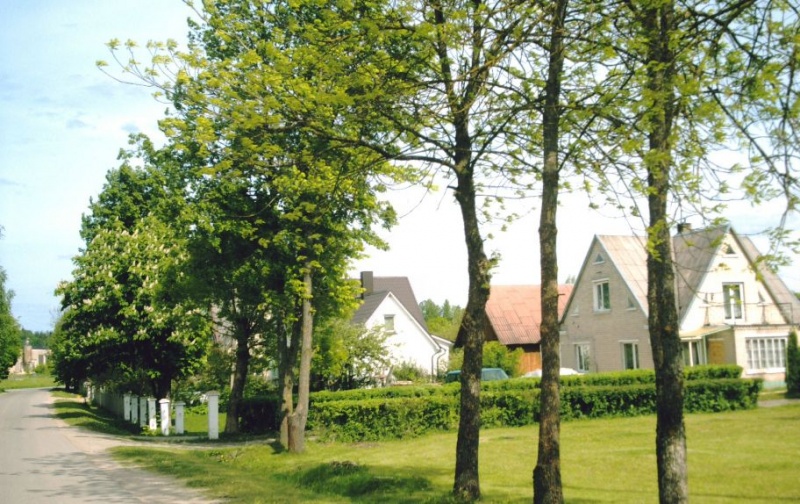 Vaizdas:Laibgalių kaimo gatvė 477.jpg