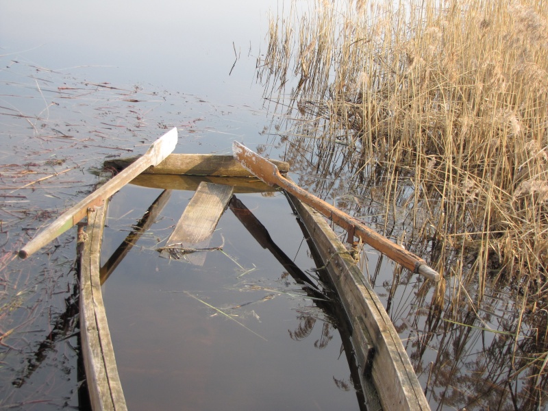 Vaizdas:Valtelei pasibaigęs sezonas gana liūdnas 497.jpg