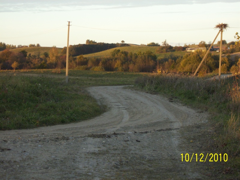Vaizdas:Atgimsta 2010 448.jpg