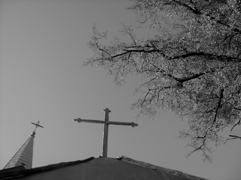 Vaizdas:Rodant į dangų 12.jpg