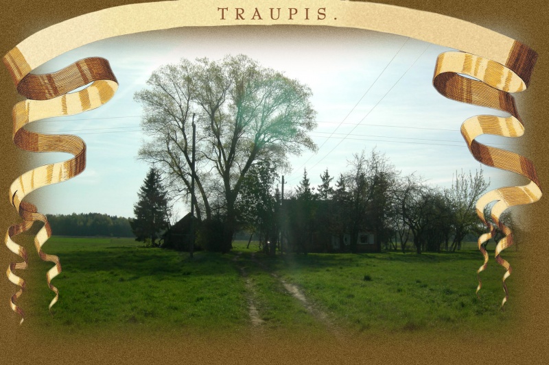 Vaizdas:Traupis 03 428.jpg