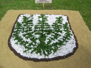 Floristinis kilimas "Traupio herbas"