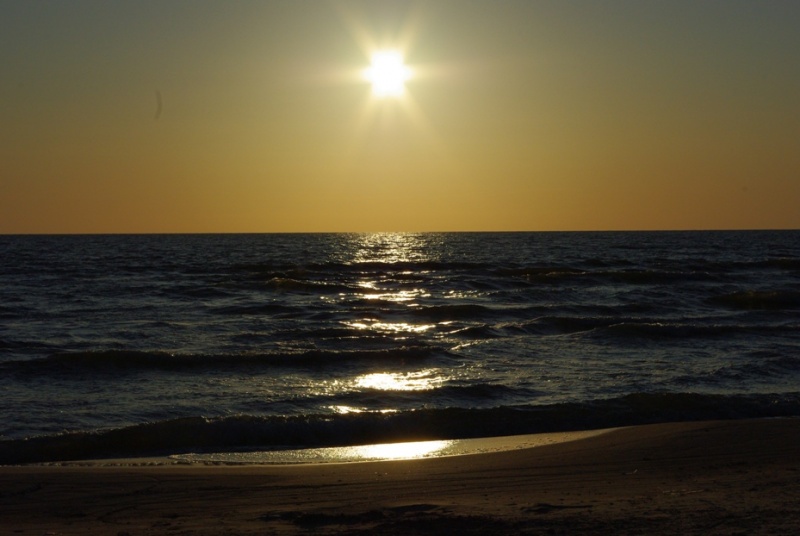 Vaizdas:Palanga 303.jpg