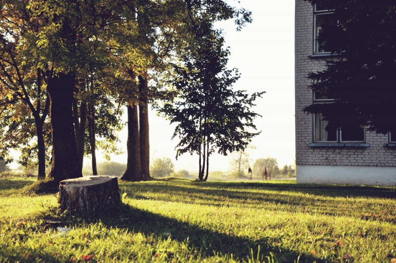 Vaizdas:Pamokoms pasibaigus.. Atokvėpis ant žolės 391.jpg