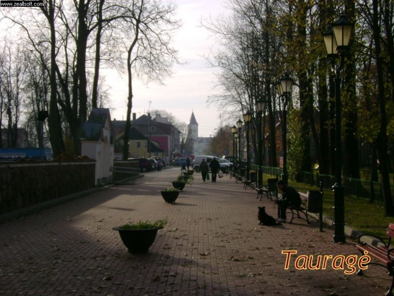 Vaizdas:Tauragės moksleivių alėja 152.jpg