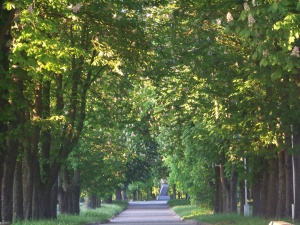 Šiauliai
