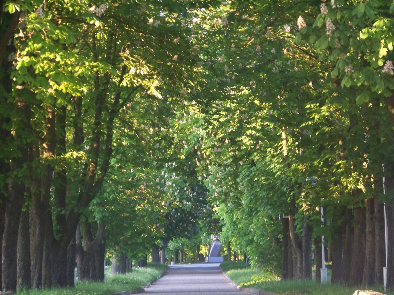 Vaizdas:Kaštonų alėja 95.jpg