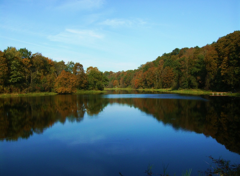Vaizdas:Lokio tvenkinys (Jonavos r. Šilų sen.) 261.jpg