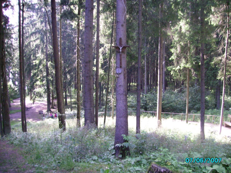 Vaizdas:Kažką pasako tik .... 926.jpg