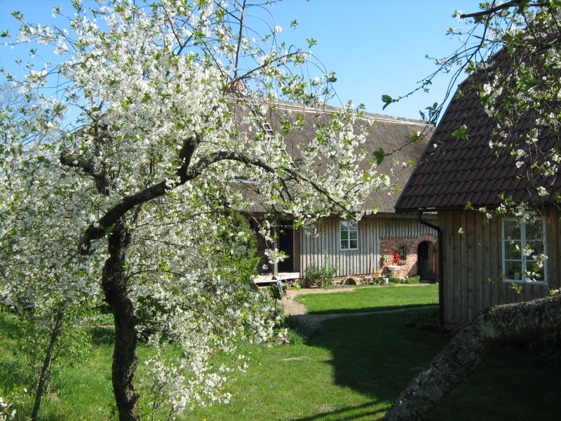 Vaizdas:Prie Vorusnės 668.jpg