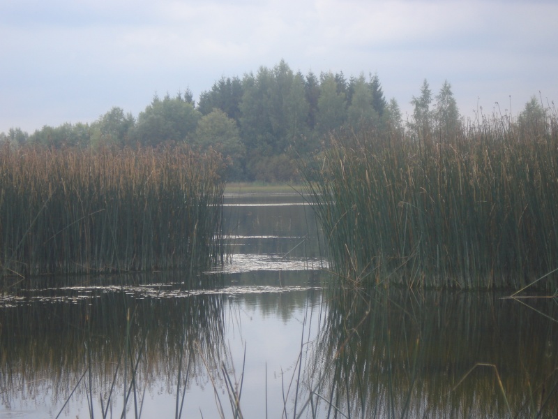 Vaizdas:Scenos užsklanda 81.jpg