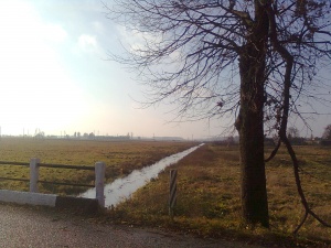 Vandžiogala