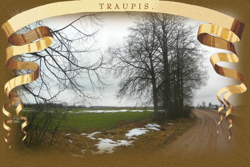 Vaizdas:Traupis 12 82.jpg