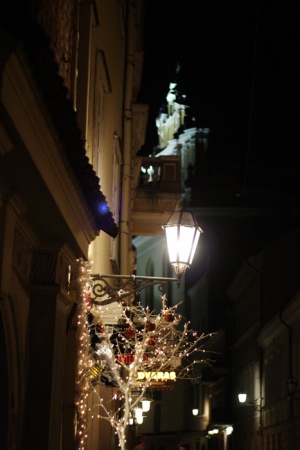K. Lapinaitės nuotr.