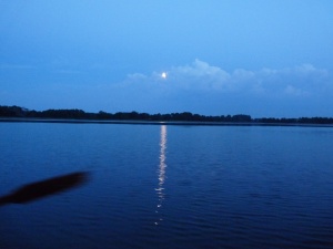 Saulėlydis