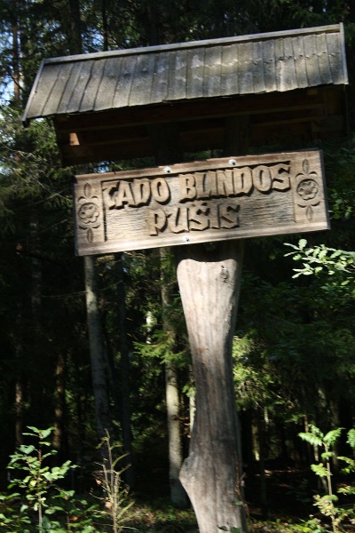 Vaizdas:Tado Blindos pušis. Byvainės miškas Telšių r. 484.jpg