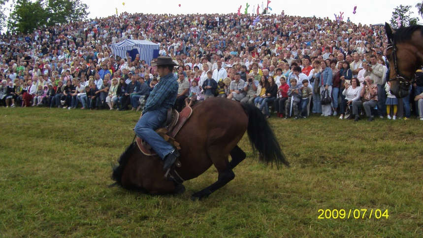 Žirgas paklusta įsakymams