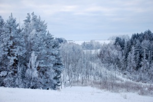 Kaniūkų k. Utenos r.