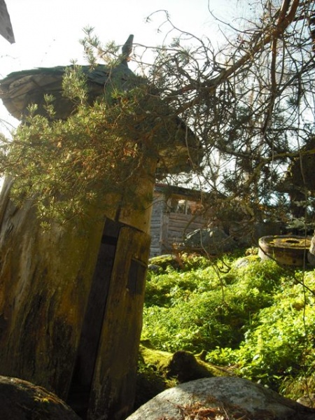 Vaizdas:Baublys Orvydų sodyboje 9.jpg